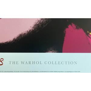Poster Andy Warhol Marilyn Monroe Hot Pink Rosa Shocking 2