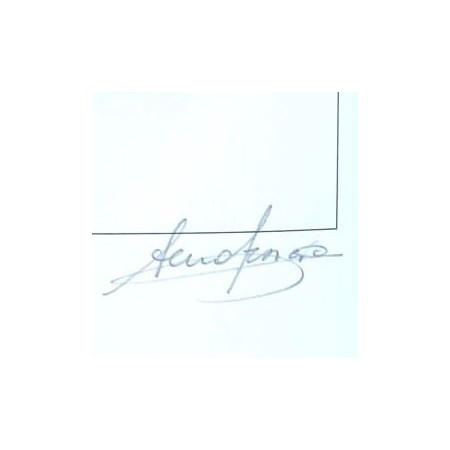 Stampa Fine Art Sergio Veglio Daisy Shoes Edizione Limitata