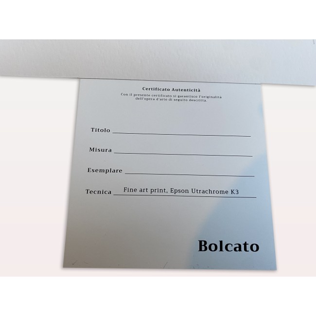 Stampa Fine Art Scimmia E Nastro - Poster Edizione Limitata